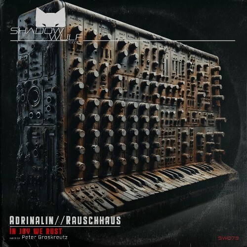  Rauschhaus & Adrinalin - In Joy We Rust (2025) 