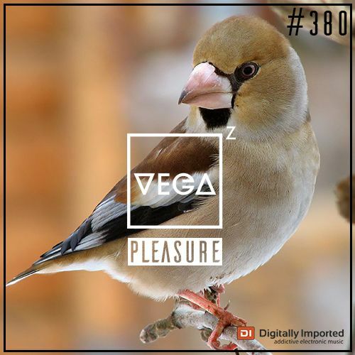  Vega Z - Pleasure 380 (2024-05-22) 