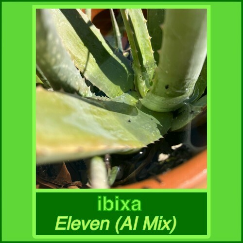  ibixa - Eleven (AI Mix) (2024)  METEZTY_o