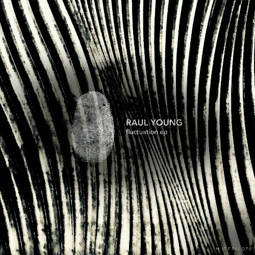  Raul Young - Fluctuation (2024) 