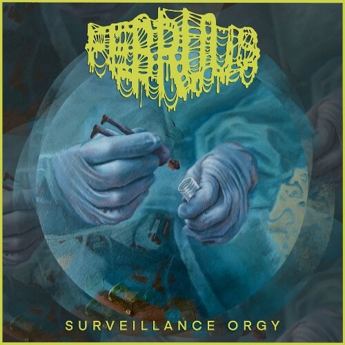  Februus - Surveillance Orgy (2024) MP3 MEUTCC8_o