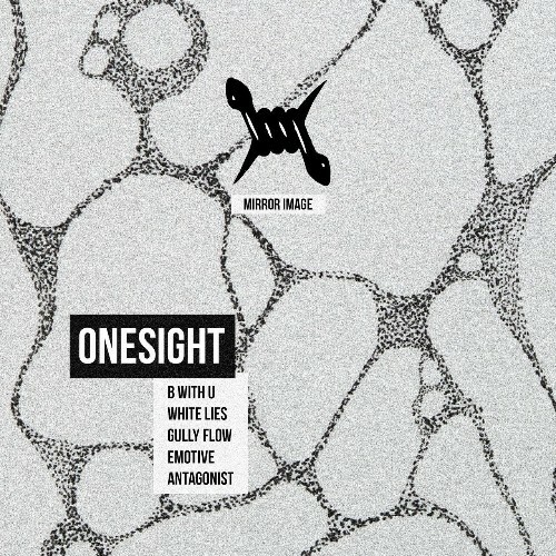 VA - Onesight - Mirror Image (2024) (MP3) MEVBUU0_o