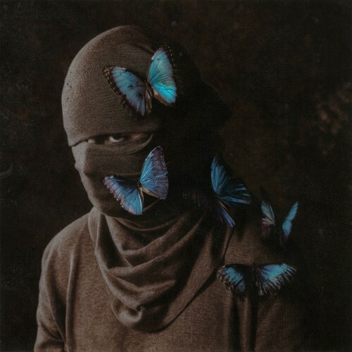 808NOCHE - MORPHO (2025) 