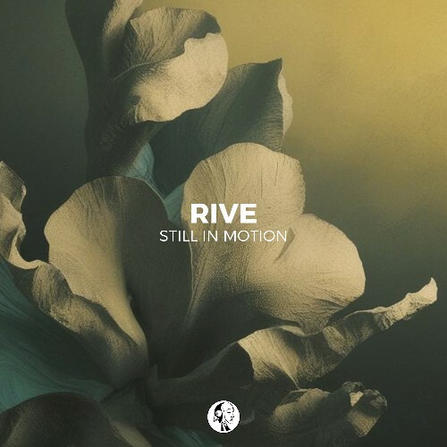  Rive - Still In Motion (2025) 