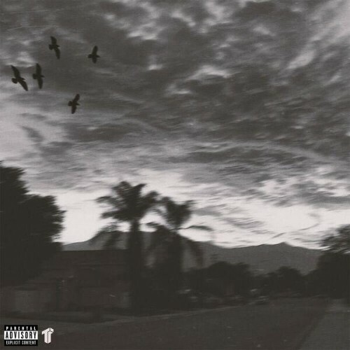  Banditdamack - Nothing's Wrong (2025) 