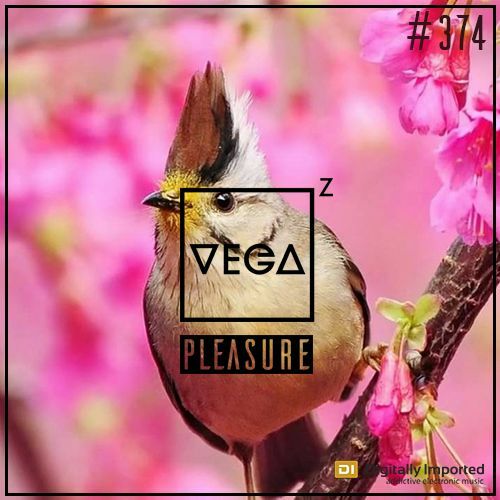 Vega Z — Pleasure 374 (2024—04—10)