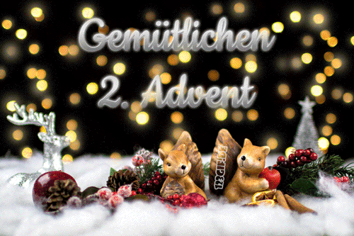 _2.advent-hoernchen-0028.gif