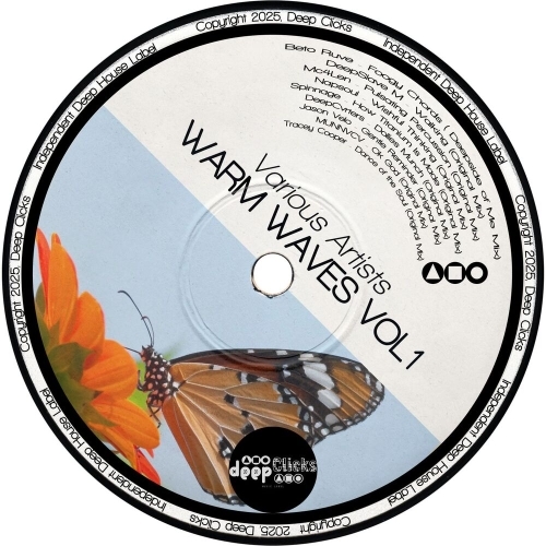  Warm Waves, Vol. 1 (2025) 