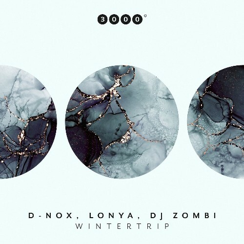 VA - D-Nox, Lonya & DJ Zombi - Wintertrip (2024) (MP3) MEUNVQ9_o