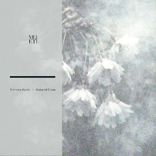  Shintarø Kanie - Watered Down (2026) 