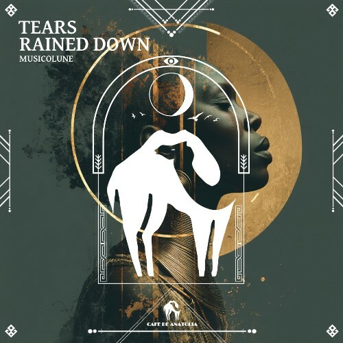  Musicolune - Tears Rained Down (2026) 