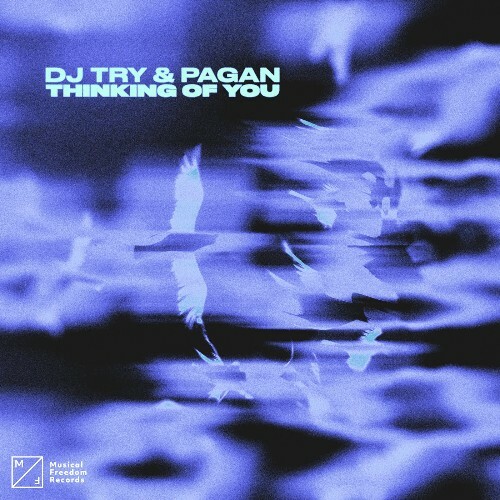  DJ Try & Pagan - Thinking Of You (2026) 