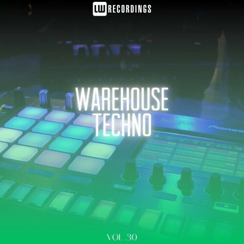 Warehouse Techno, Vol. 30 (2024)