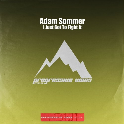  Adam Sommer - I Just Got To Fight It (2024) 