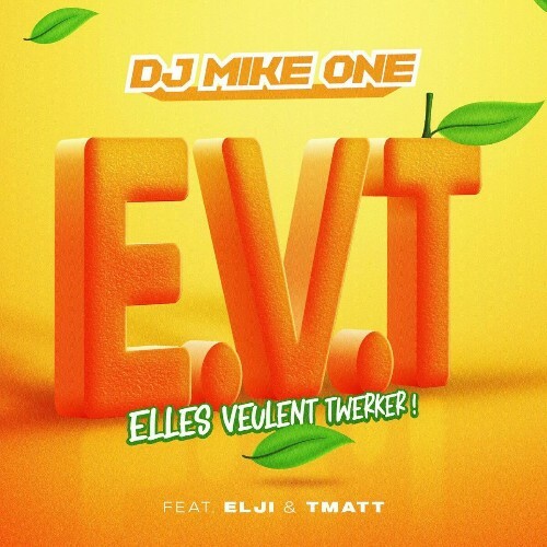  Dj Mike One - Elles veulent twerker (Elji Et T-Matt) (2025) 