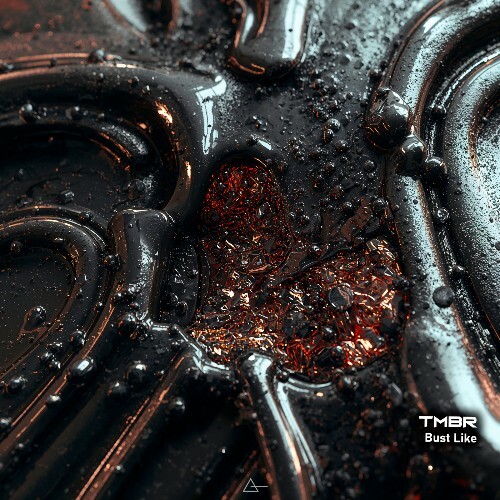 TMBR — Bust Like (2026)