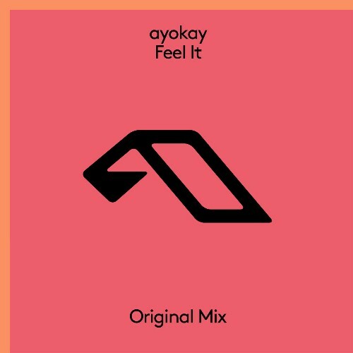  Ayokay - Feel It (2024) 