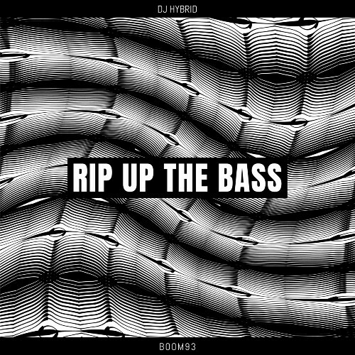  DJ Hybrid - Rip Up The Bass (2025) 