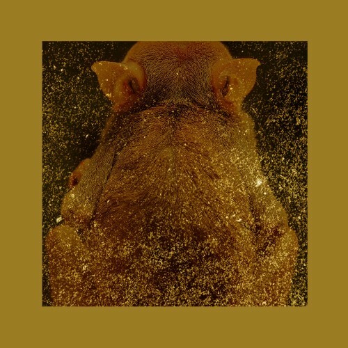  Nabbew - RTFCTS019 (2025) 