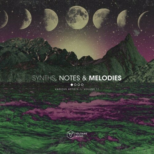 Synths, Notes & Melodies, Vol. 11 (2025)