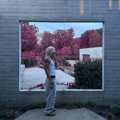  Green Montana - BFC EZA KOYA (2026) 
