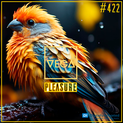  Vega Z - Pleasure 422 (2025-03-11) 