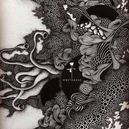  Alex Medina - Nightmares on Jazz (2025) 