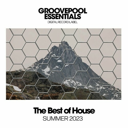  Groovepool Essentials - The Best Of House Summer 2023 (2023) 