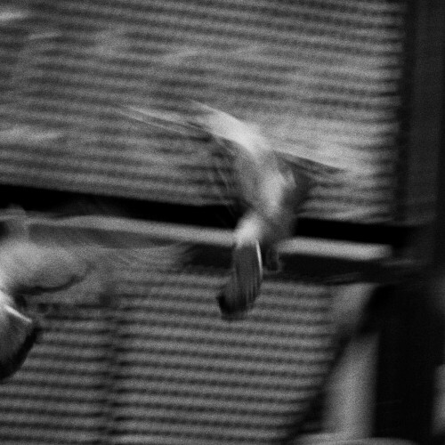  Maxwell Bdx - Tempête (2026) 