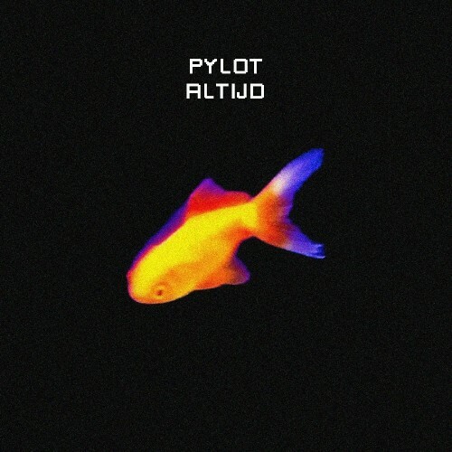  Pylot - Altijd (2025) 