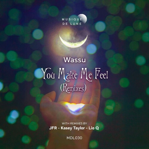  Wassu - You Make Me Feel Remixes (2025) 