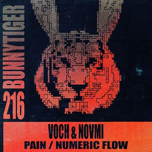  Voch & NOVMI - Pain / Numeric Flow (2026) 