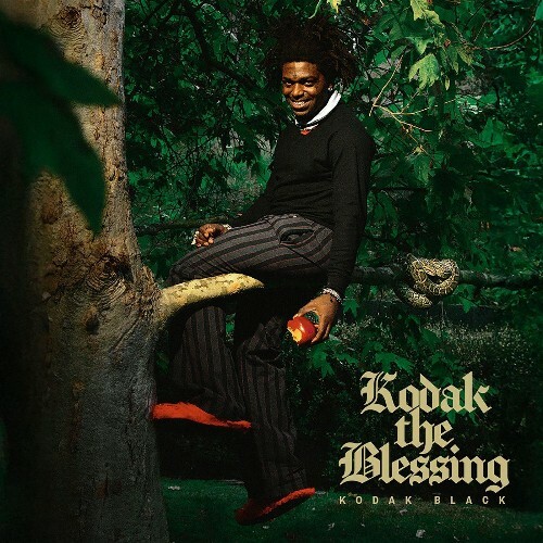 Kodak Black, Rylo Rodriguez, Lil Crix - Kodak The Blessing (2026) 