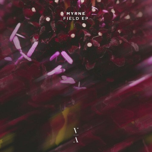  MYRNE - Field (2025) 