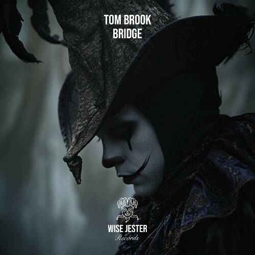 VA - Tom Brook - Bridge (2024) (MP3)