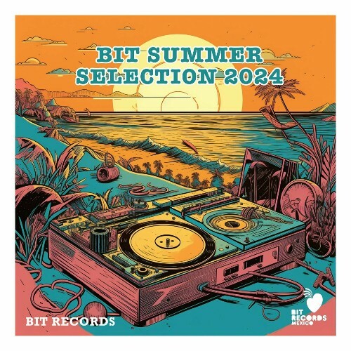  BIT2408 - Summer Selection 2024 (2024) 