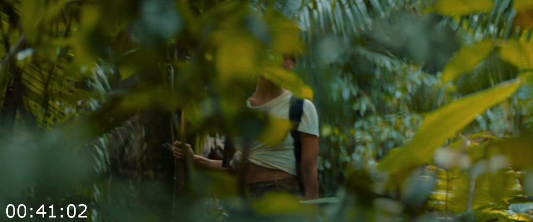 [Image: ME17QM4N_o.png]