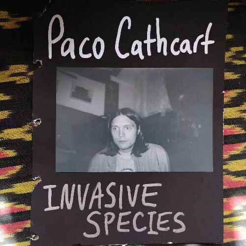  Paco Cathcart - Down On Them (2025) 