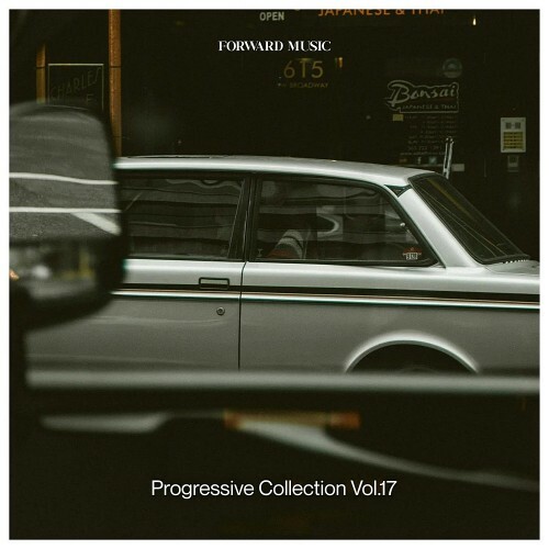 VA - Progressive Collection Vol 17 (2024) (MP3)