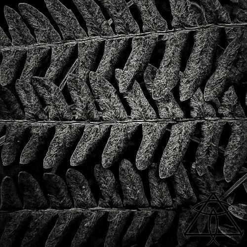 VCS1 - Banshee (2026) VCS1 - Banshee (2026)