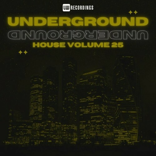  Underground House, Vol. 25 (2024) 