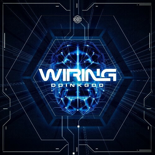  Doinkgod - Wiring (2025) 