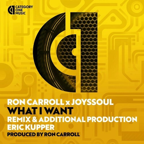  Ron Carroll x JoysSoul - What I Want (Eric Kupper Remixes) (2024) 