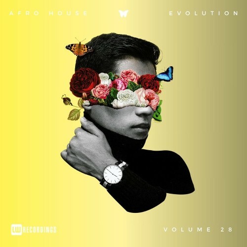 Afro House Evolution, Vol. 28 (2026) 