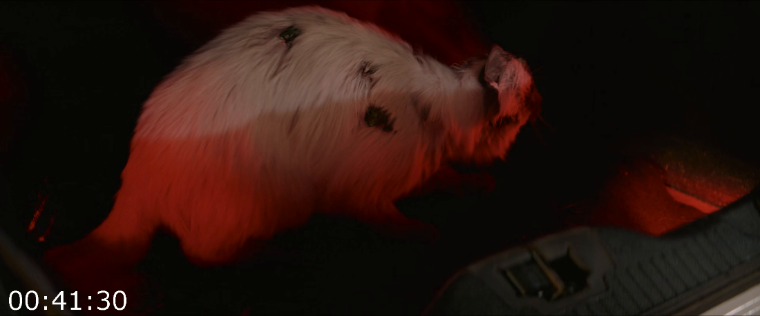 [Kép: ME1B4G8G_o.png]