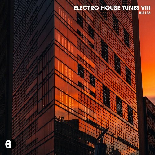 Electro House Tunes Viii (2024)