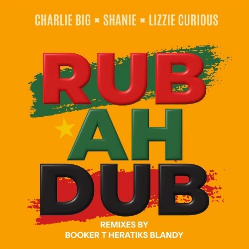  Charlie Big x Shanie x Lizzie Curious - Rub Ah Dub (Extended Remixes) (2026) 