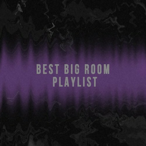 Best Big Room Playlist (2023) MP3
