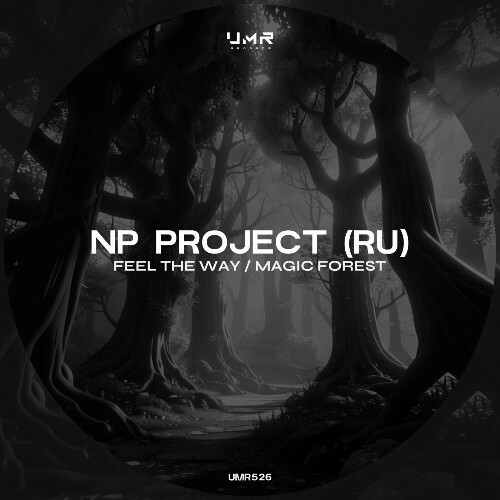  NP Project (RU) - Feel the Way / Magic Forest (2024) 