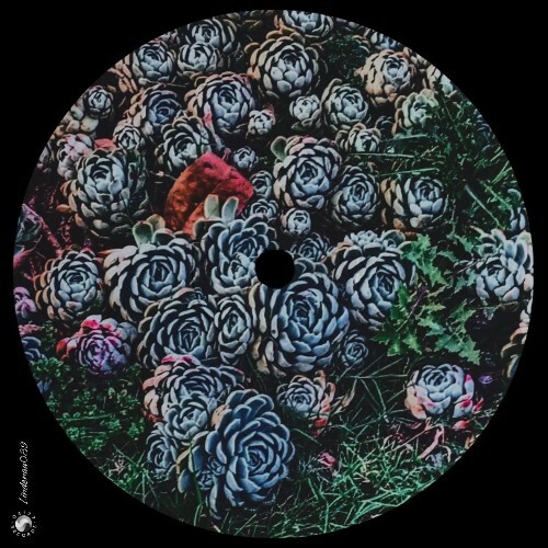  Marvin Boettcher - Feels Like (2026) 